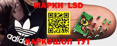 сатива Сланцы