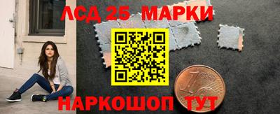 сатива Сланцы