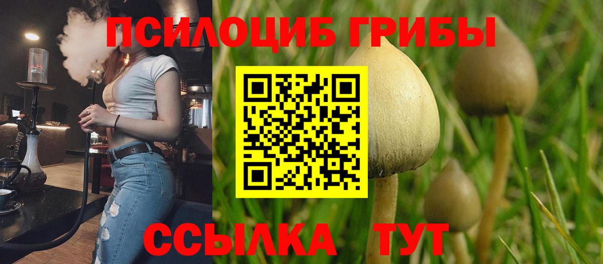Отрадный  Галлюциногенные грибы Cubensis  наркотики  Вход с VPN  Галлюциногенные грибы мухоморы 
