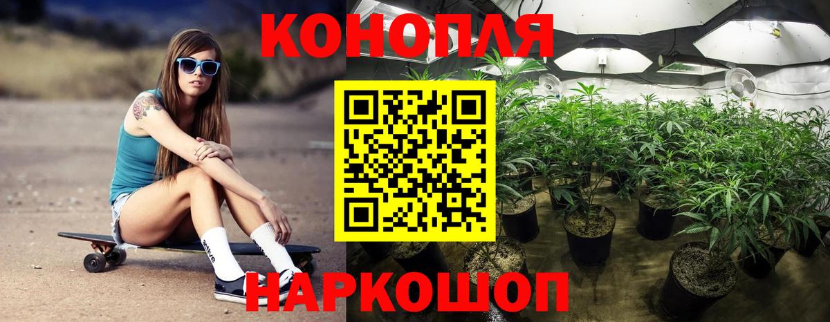 Конопля OG Kush  Бошки Шишки тримм  Каннабис планчик  Отрадный  Вход с VPN 